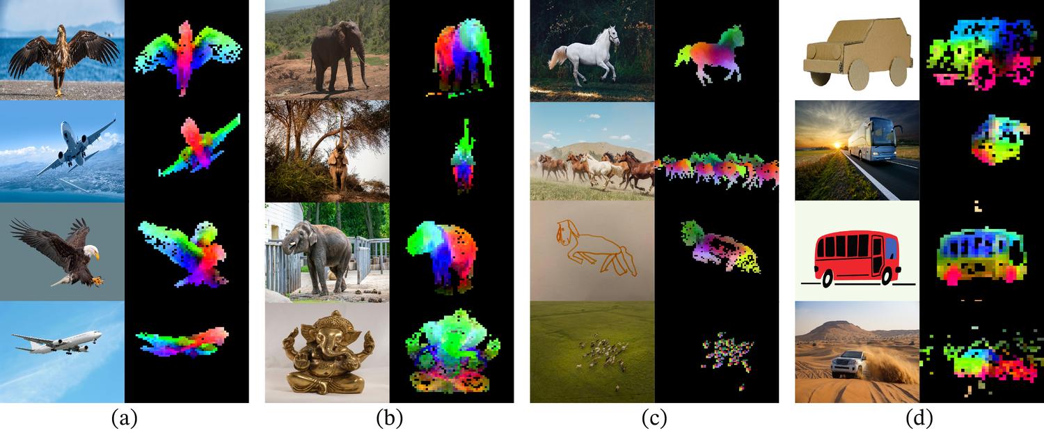 PCA visualisations of DINOv2 patch features showing coherent part-level correspondence across different images of similar objects.