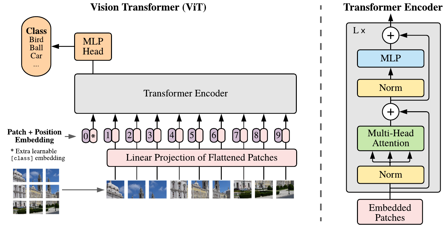 Vision Transformer: image split into patches, linearly embedded, position embeddings added, fed to a standard transformer encoder.