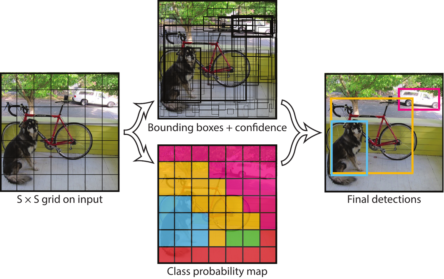 The YOLO model: an S×S grid where each cell predicts bounding boxes, confidences and class probabilities.